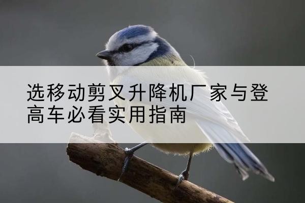 海盐电动升降机厂家-选移动剪叉升降机厂家与登高车必看实用指南