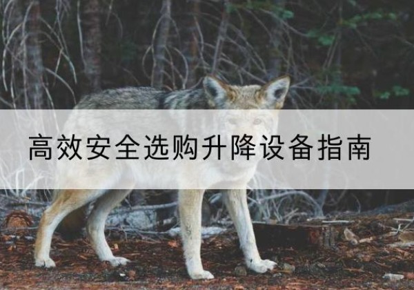 海盐升降货梯厂家推荐-*安全选购升降设备指南